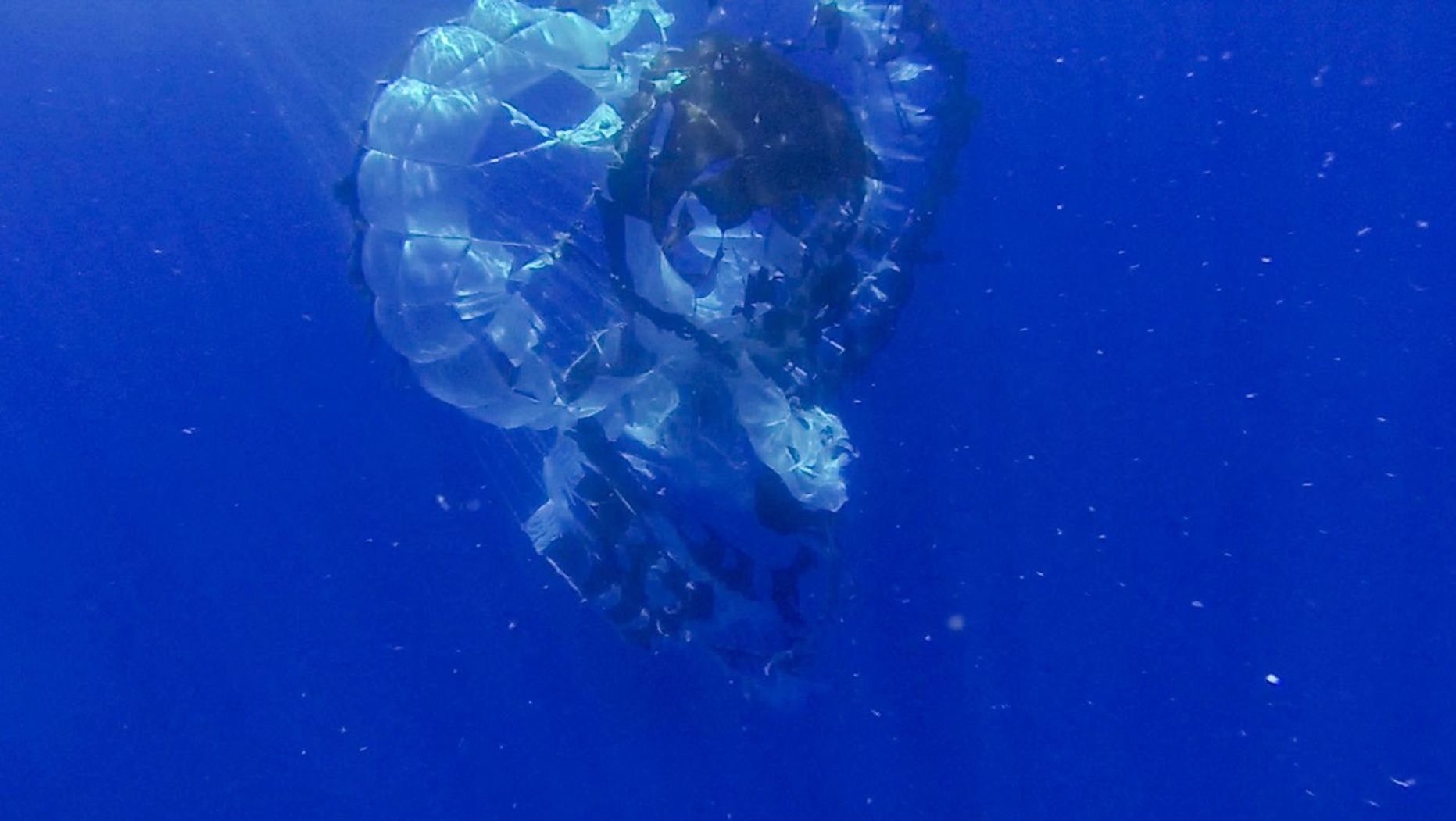 The Supersonic Disk Sail Parachute, one of the new technologies being developed as part of NASA's Low-Density Supersonic Decelerator (LDSD) project, floats in the Pacific Ocean after the completion of its first flight test, on June 28, 2014. The test occurred off the coast of the U.S. Navy's Pacific Missile Range Facility in Kauai, Hawaii. The photo was obtained by Navy divers during recovery of the LDSD test vehicle and parachute.