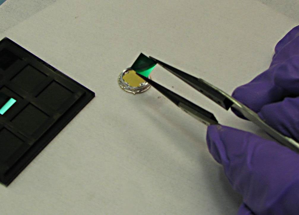 The tiny 0.8 cm-square (8mm-square) microchip that carries the hopes and dreams of the world.