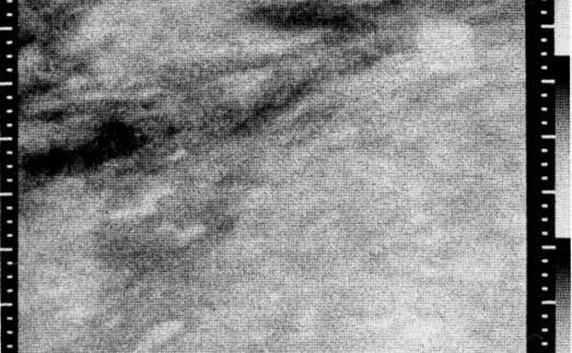 Mariner 4 image of the area at the border of Elysium Planitia and Amazonis Planitia.