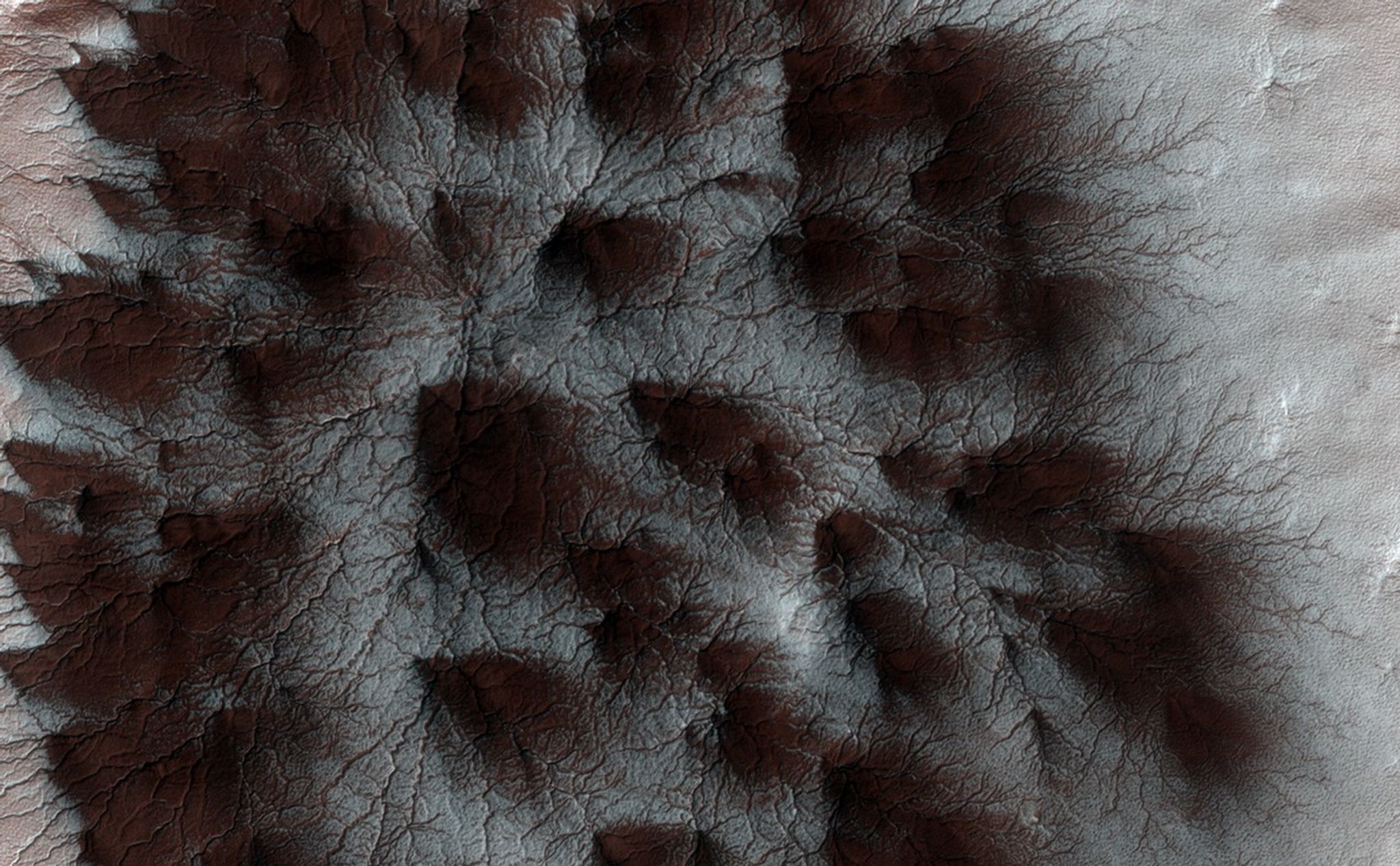 Starburst Spider - NASA Science