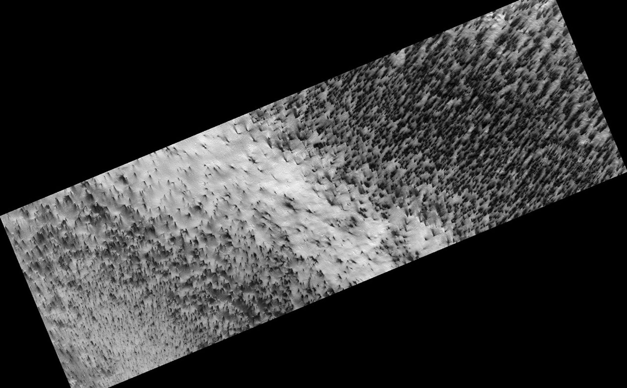 Every winter Mars' polar region is covered with a layer of seasonal carbon dioxide ice (dry ice). In the spring jets of gas carry dust from the ground up through openings in the ice. The dust gets carried downwind by the prevailing wind and falls on top of the seasonal ice layer in a fan-shaped deposit. Many jets appear to be active at the same time since numerous fans are all deposited in the same direction.