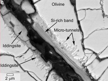 This scanning electron microscope image of a polished thin section of a meteorite from Mars shows tunnels and curved microtunnels.