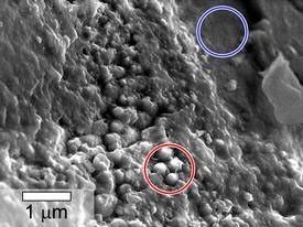 
			Spheroidal Features in Yamato Meteorite From Mars - NASA Science			