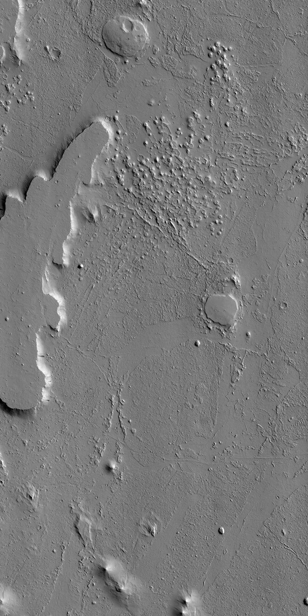 Ring and Cone Structures and Platy-Ridged Terrain in Amazonis Planitia