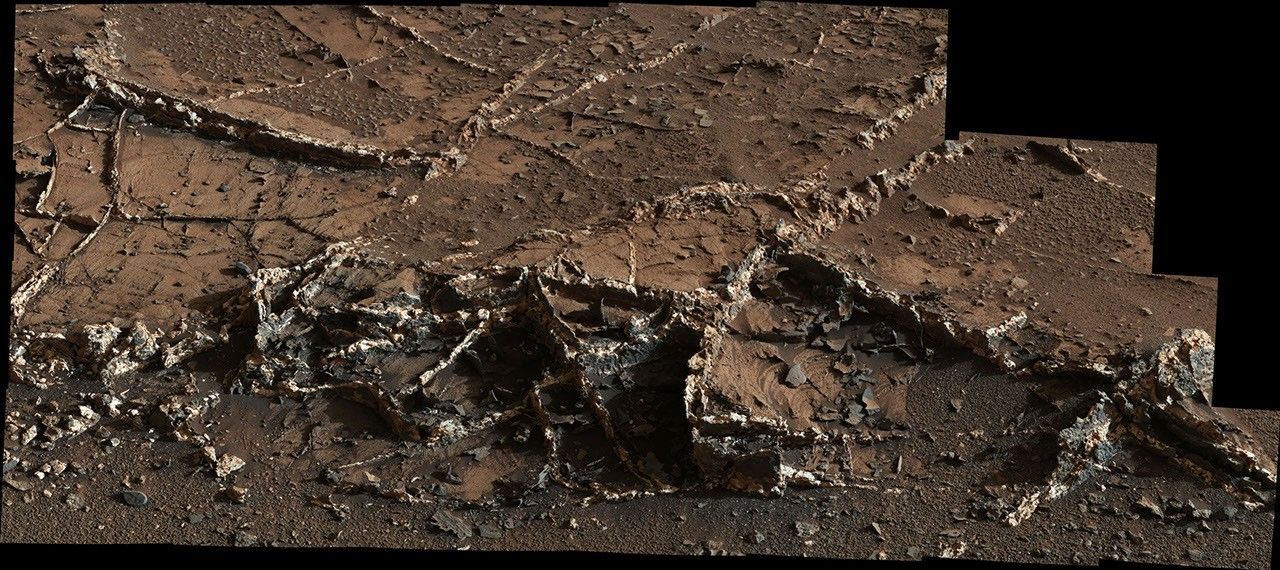ＶＩＡ石像 Prominent Veins at 'Garden City' on Mount Sharp, Mars - NASA Science