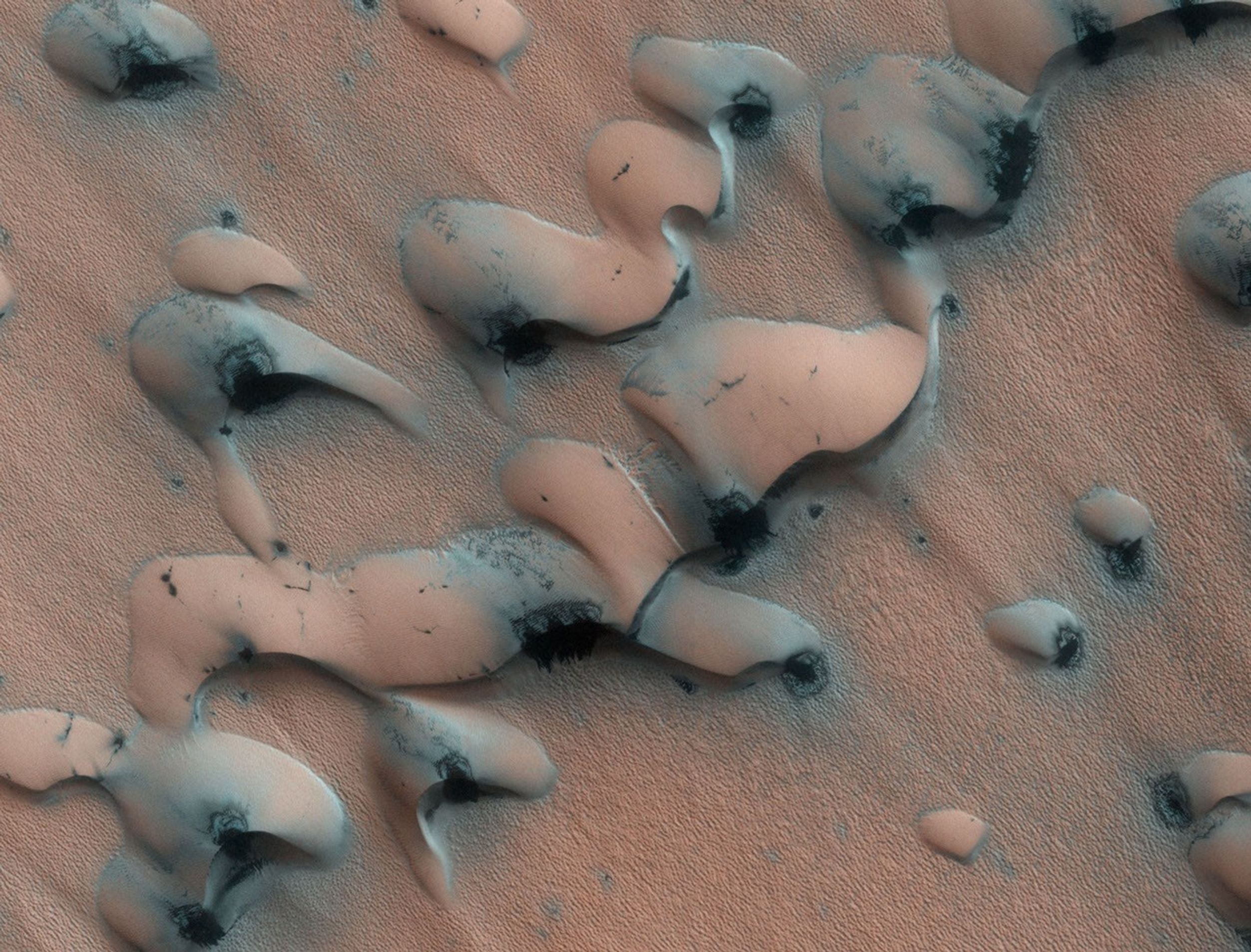 This image shows dunes near the north pole of Mars. The north pole is surrounded by a vast "sea" of basaltic sand dunes, and the dunes imaged here are similar to barchan dunes that are commonly found in desert regions on Earth.