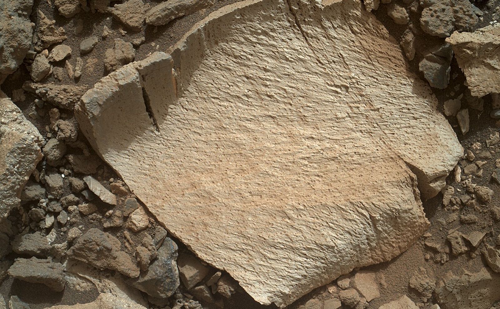 A rock fragment dubbed "Lamoose" is shown in this picture taken by the Mars Hand Lens Imager (MAHLI) on NASA's Curiosity rover.