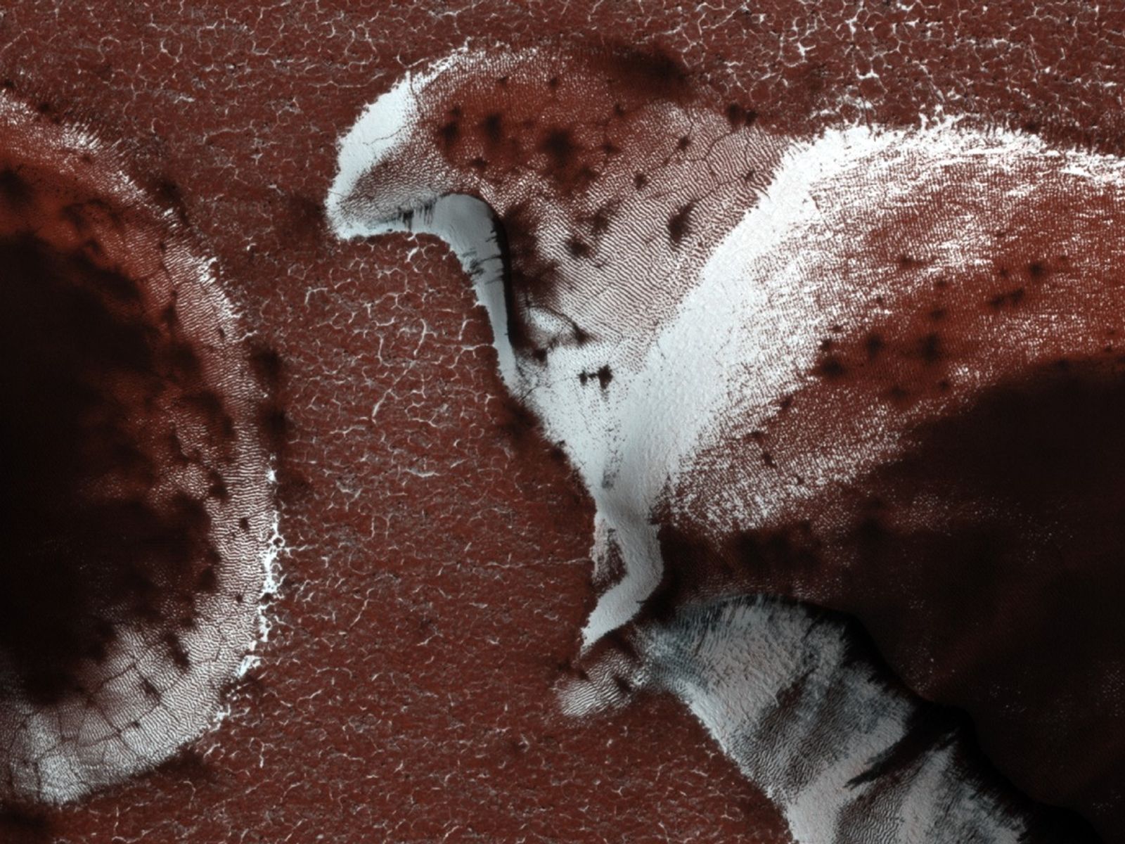 Springtime thaw in the north polar region of Mars created this fierce falcon.