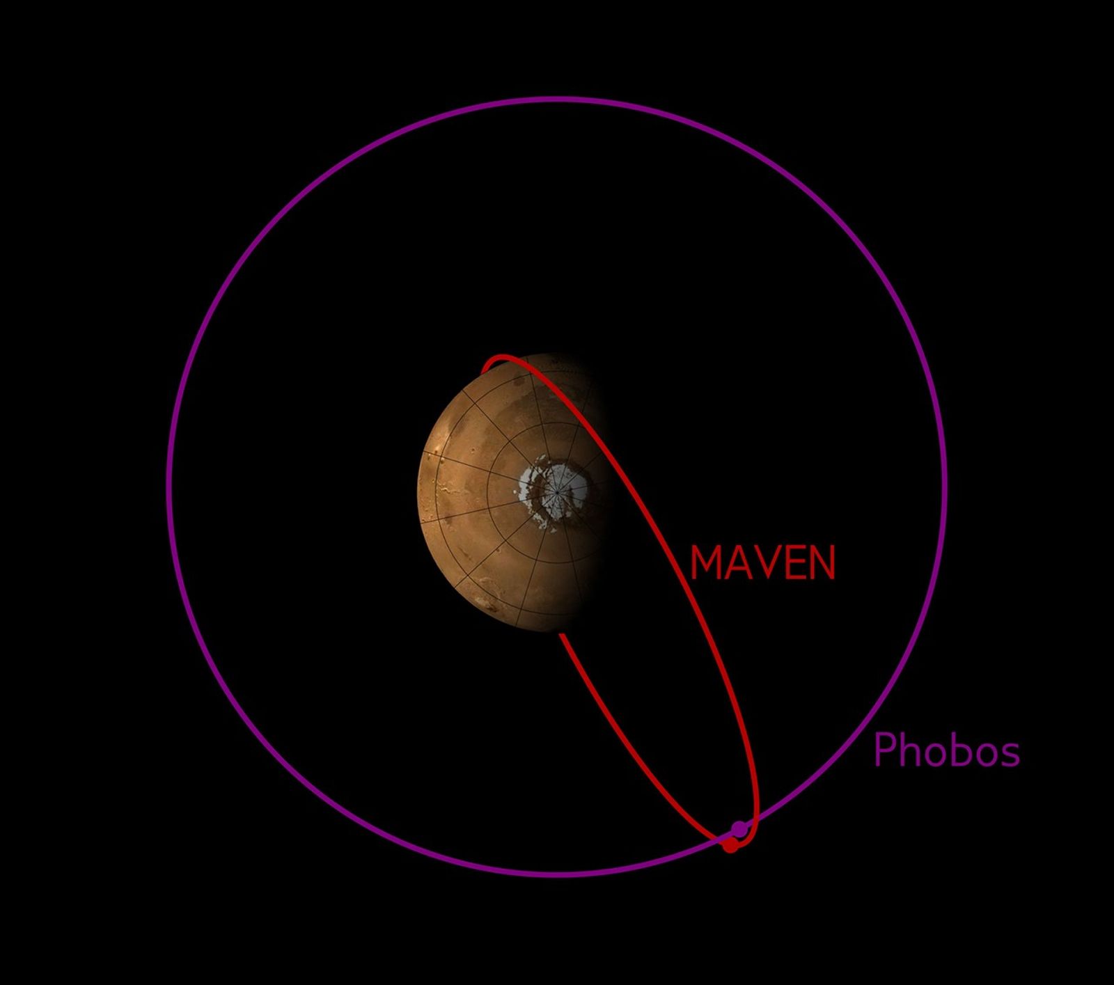 
			Orbit of MAVEN and Phobos - NASA Science			