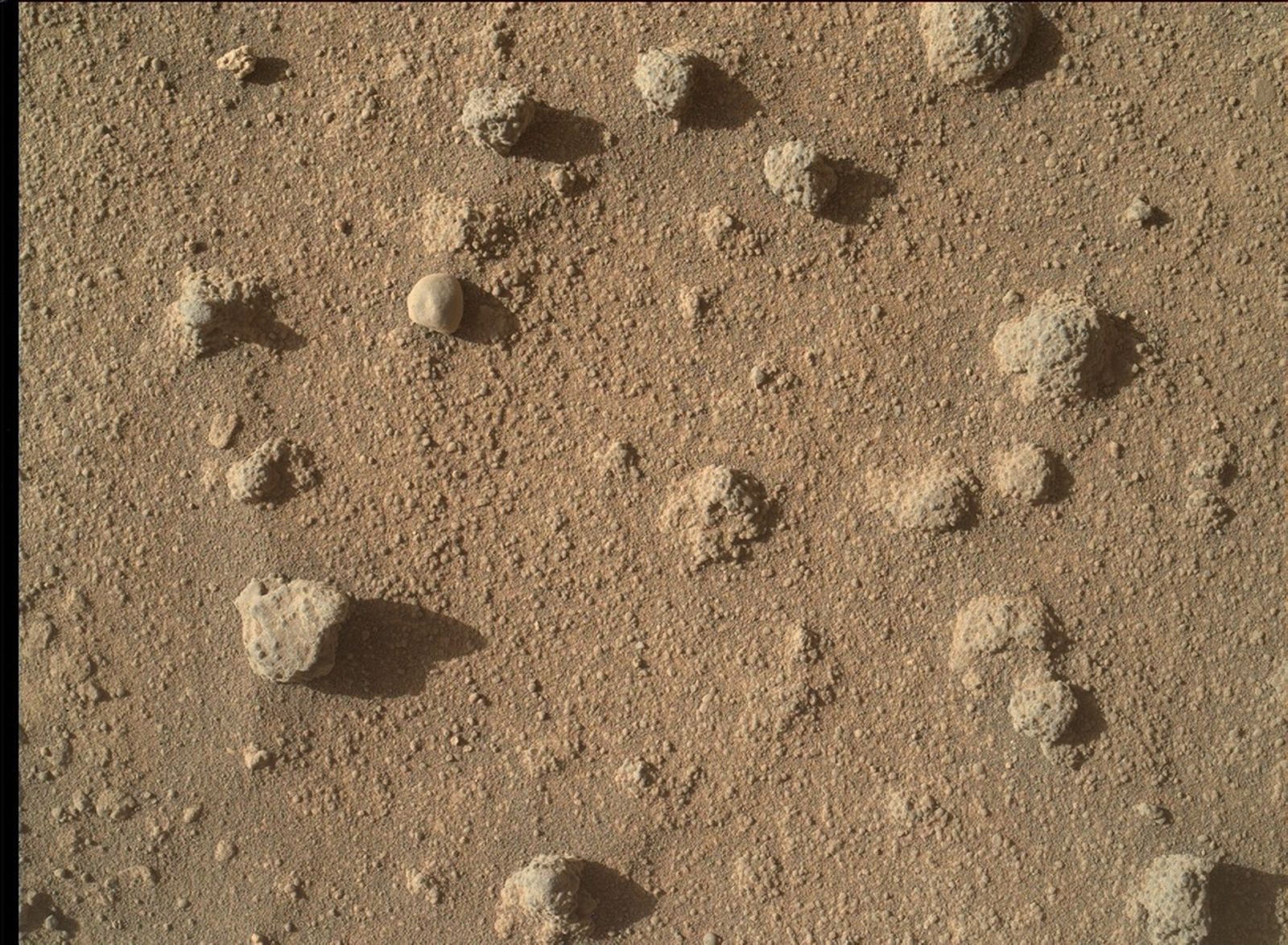 This view shows nodules exposed in sandstone that is part of the Stimson geological unit on Mount Sharp, Mars. The nodules can be seen to consist of grains of sand cemented together.