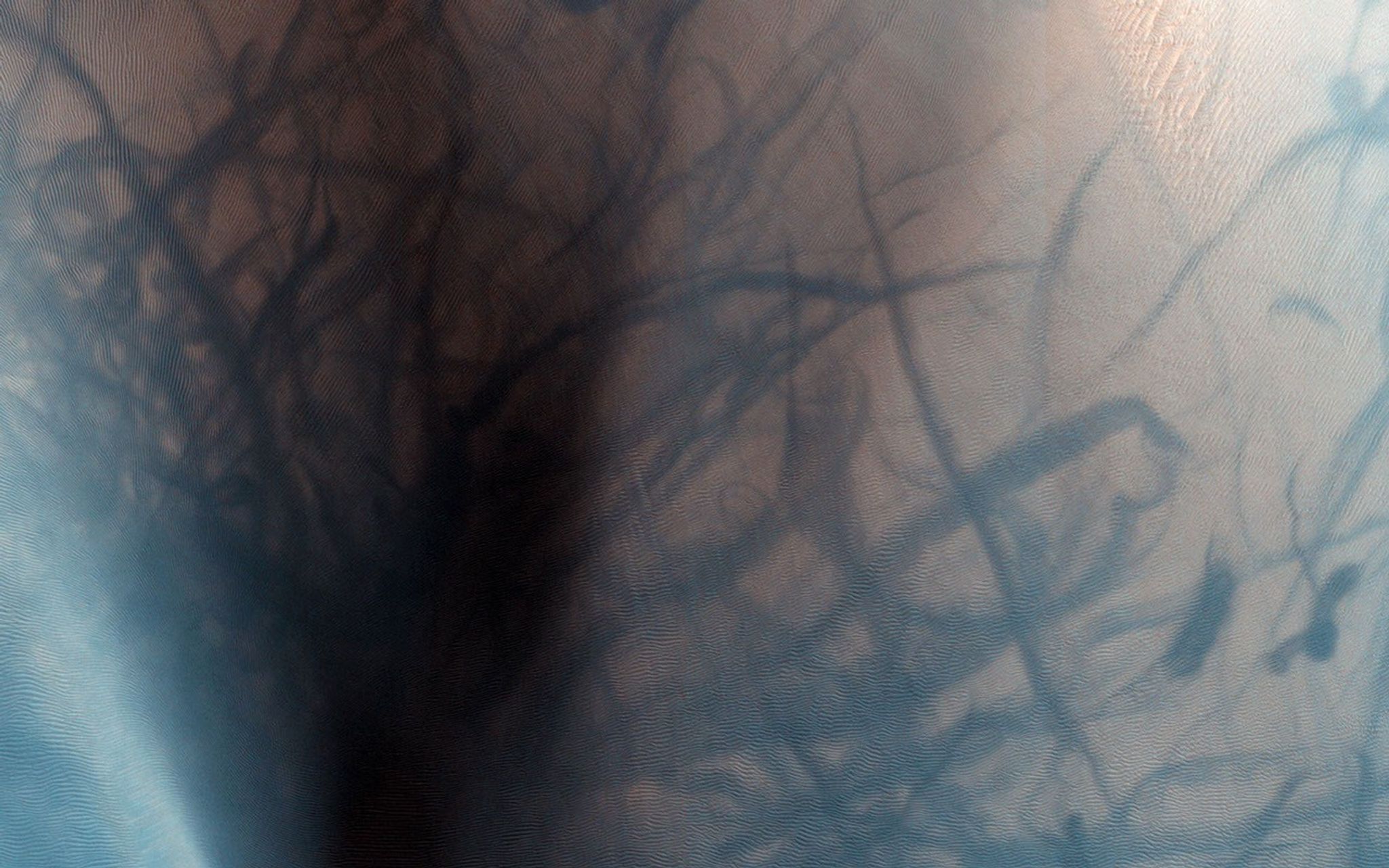 This observation from NASA's Mars Reconnaissance Orbiter shows a sand dune field in the Nili Fossae region of Mars. The dark lines swirling over the surface of the dunes are the tracks of dust devils.