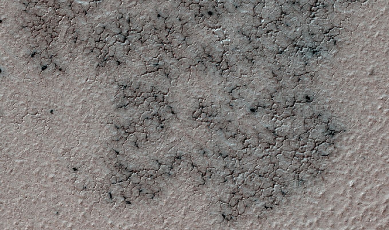 This image shows spidery channels eroded into Martian ground. It is a Sept. 12, 2016, example from HiRISE camera high-resolution observations of more than 20 places that were chosen in 2016 on the basis of about 10,000 volunteers' examination of Context Camera lower-resolution views of larger areas.