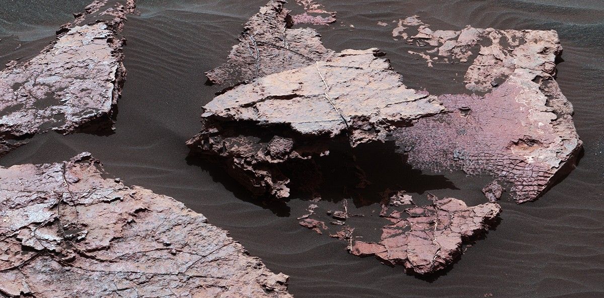 A grid of small polygons on the Martian rock surface near the right edge of this view may have originated as cracks in drying mud more than 3 billion years ago. Multiple Dec. 20, 2016, images from the Mastcam on NASA's Curiosity Mars rover were combined for this view of a rock called "Squid Cove."