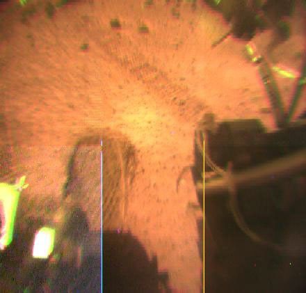 This view from NASA's Sojourner rover's rear color camera shows wheel tracks in the orange-red martian soil. One of the rover's cleated wheels is visible at left.