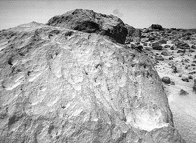 A close-up view of the rock 'Moe' in the 'Rock Garden' at the Pathfinder landing site. 'Moe' is a meter-size boulder that, as seen NASA's Sojourner, has a relatively smooth yet pitted texture upon close examination. Sol 1 began on July 4, 1997.