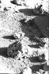 A shallow 12-inch-long trench was dug by Viking 2's surface sampler scoop on Sept. 12, 1976 on Mars.