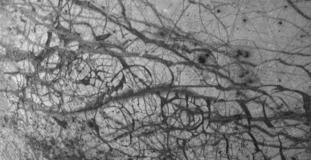 Jupiter's moon Europa, as seen in this image taken June 27, 1996 by NASA's Galileo spacecraft, displays features in some areas resembling ice floes seen in Earth's polar seas.