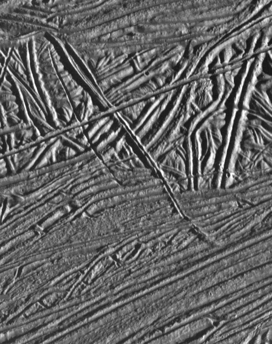 This image of Jupiter's moon Europa shows a very complex terrain of ridges and fractures. NASA's Galileo spacecraft obtained this image on February 20, 1997.
