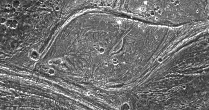 Complex tectonism is evident in these images of Ganymede's surface. The solid state imaging camera on NASA's Galileo spacecraft imaged this region as it passed Ganymede during its second orbit through the Jovian system.