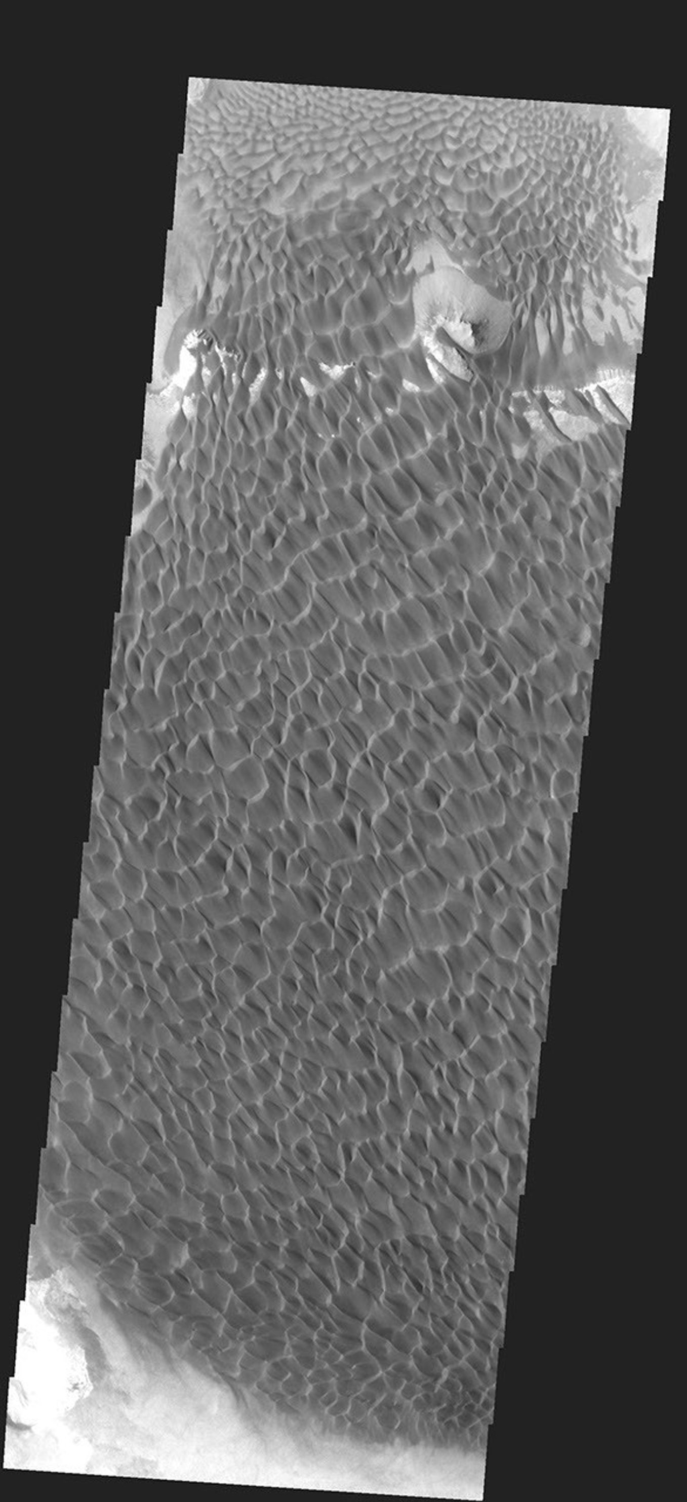 This extensive dune field in located on the floor of a large unnamed crater in Noachis Terra on Mars, taken by NASA's Mars 2001 Odyssey spacecraft.