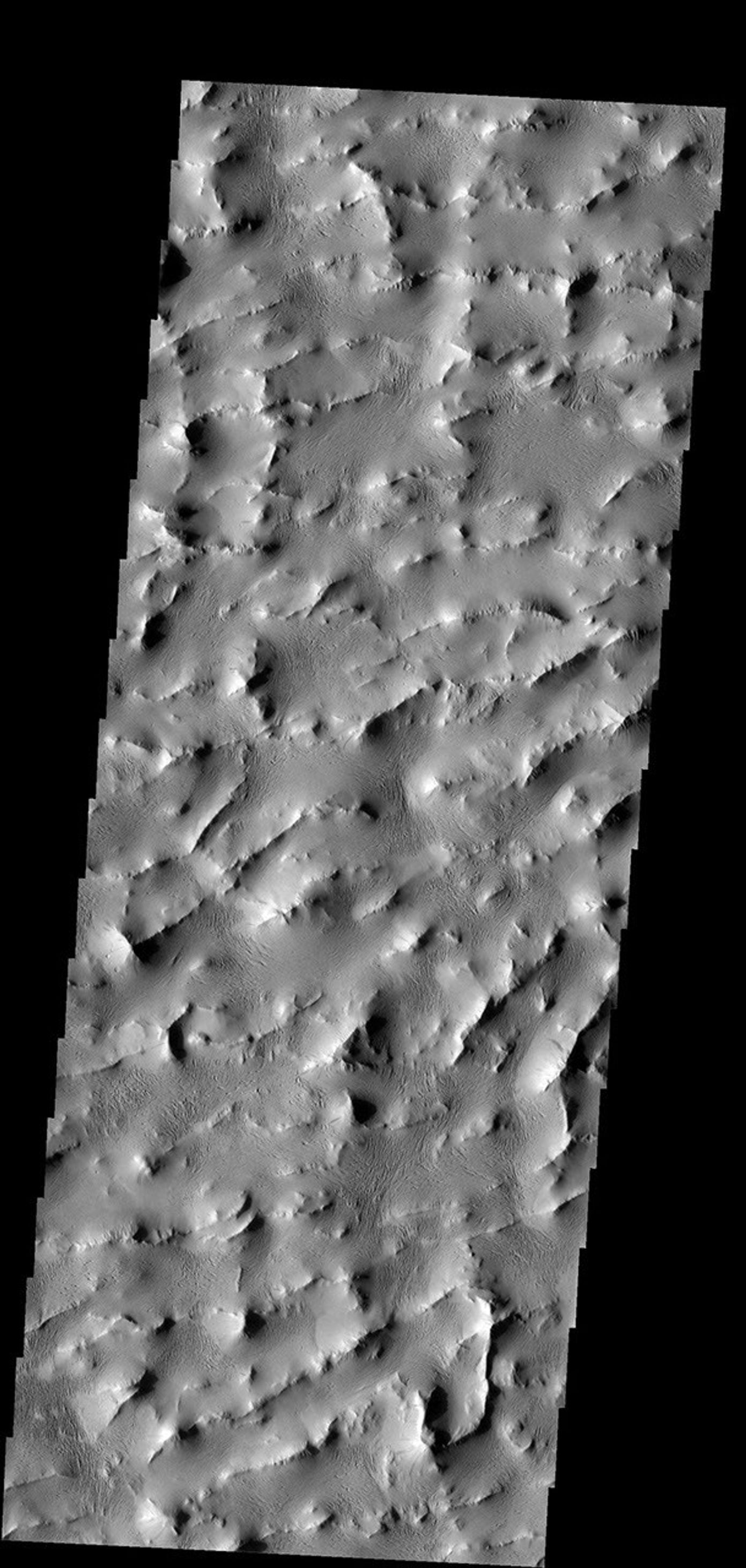 Lycus Sulci is a complex area of ridges and valleys that surrounds the northern and western margins of Olympus Mons on Mars. How it formed is unknown. This image was taken by NASA's Mars 2001 Odyssey spacecraft.