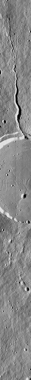 NASA's Mars Global Surveyor acquired this image on July 4, 1998. Shown here is Elysium Mons, one of three large volcanoes that occur on the Elysium Rise.