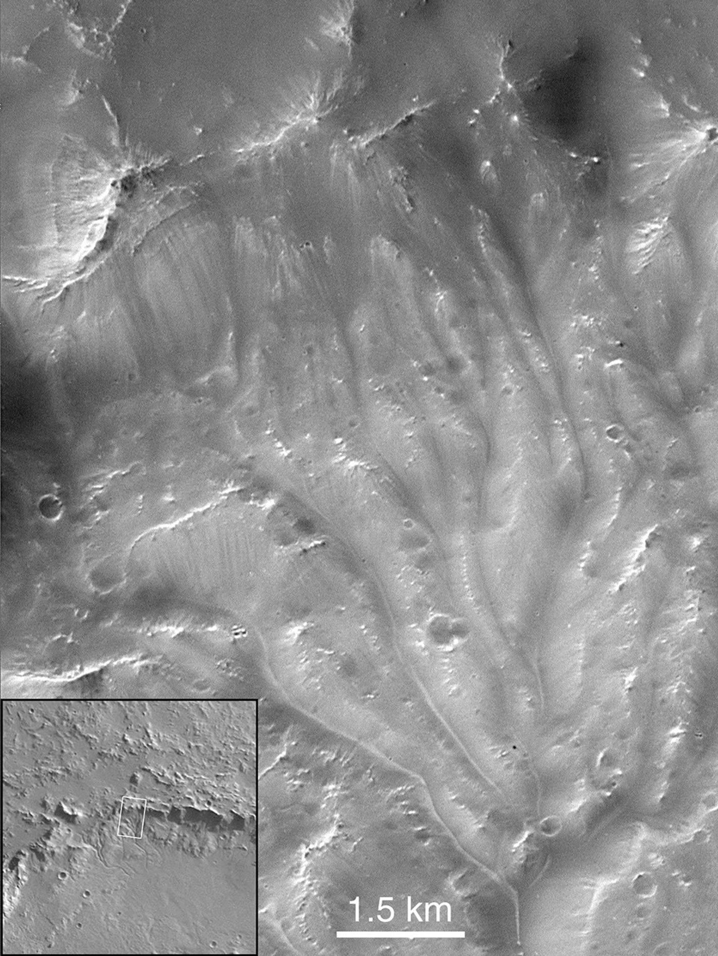 NASA's Mars Global Surveyor shows a portion of channels on the wall of Bakhuysen crater on Mars. These channels are the best examples of integrated drainage reminiscent of terrestrial systems.
