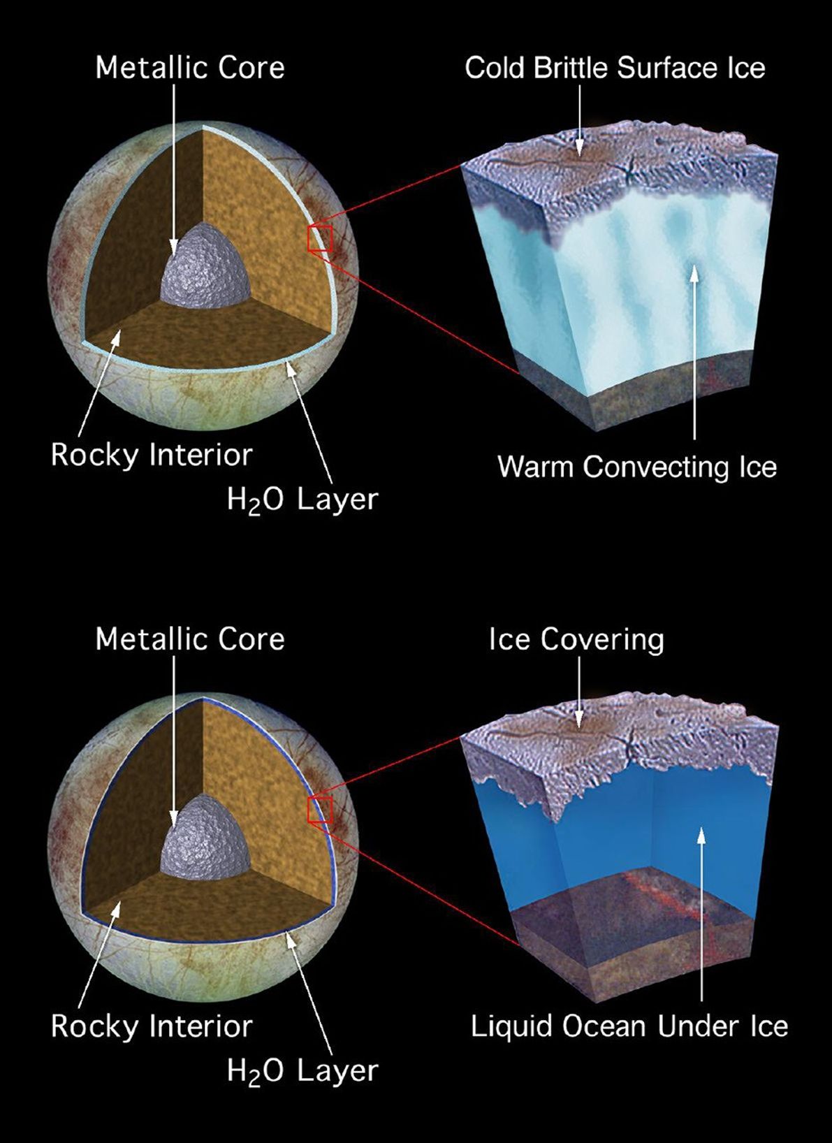 These artist's drawings depict two proposed models of the subsurface structure of the Jovian moon, Europa. Geologic features on the surface were imaged by the Solid State Imaging (SSI) system on NASA's Galileo spacecraft.