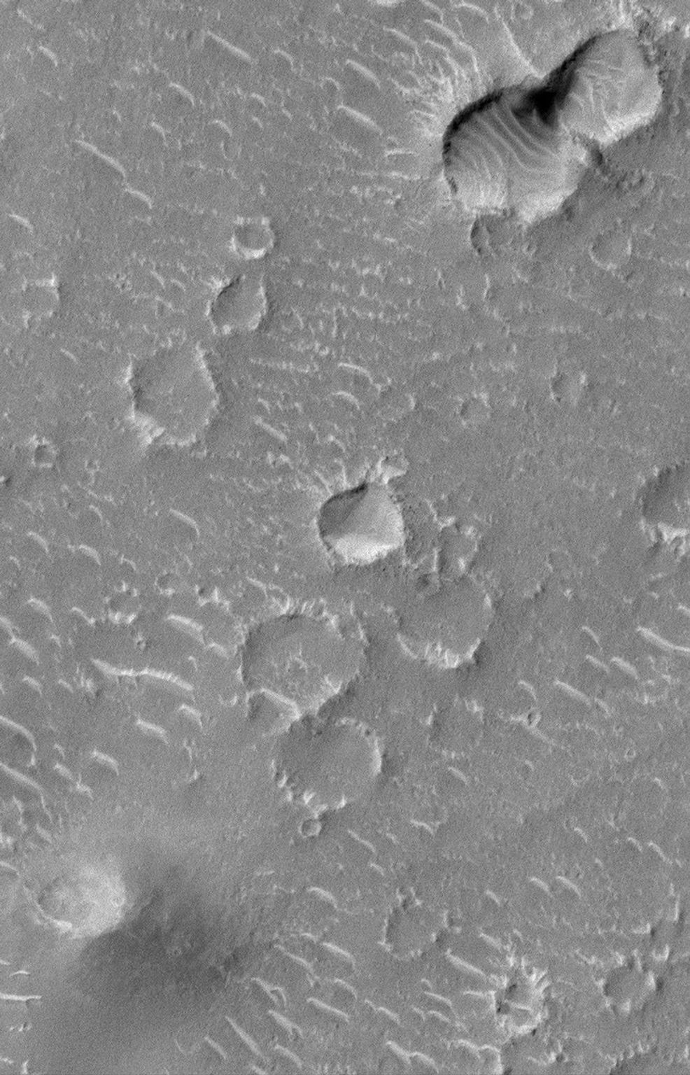 NASA's Mars Global Surveyor shows a wide portion of Isidis Planitia with rocks and boulders on the rims of younger impact craters.
