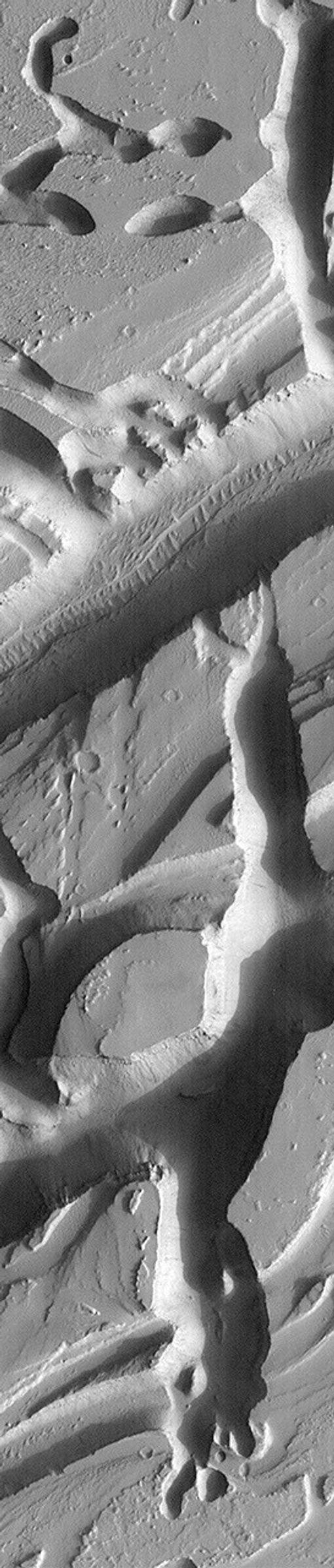 NASA's Mars Global Surveyor shows a collection of troughs and depressions located in northern Tharsis known as the Olympica Fossae, south of the Alba Patera volcano.
