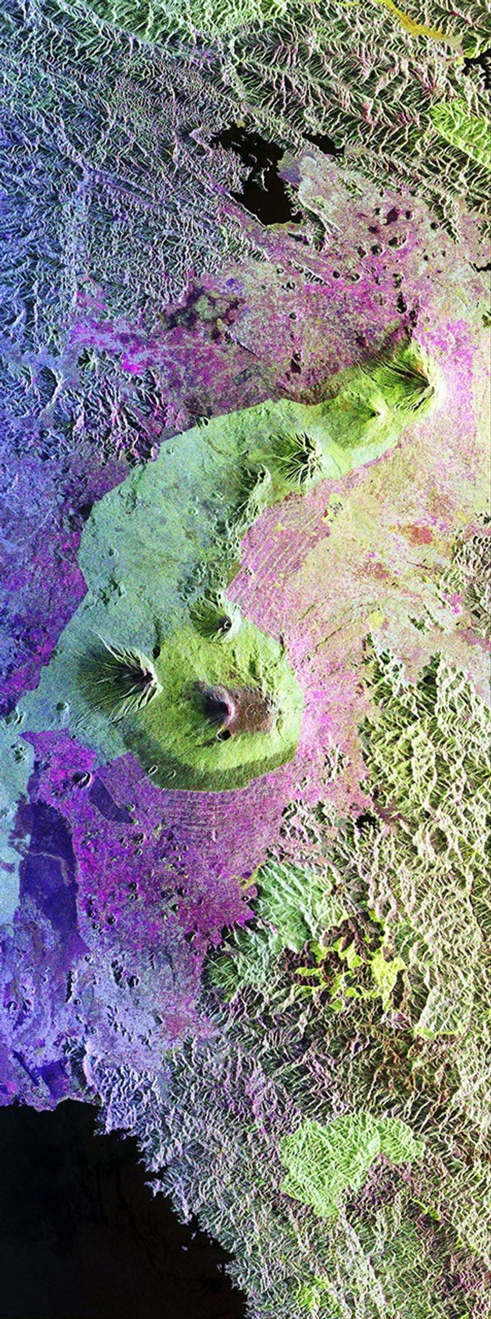 This is a false-color radar image from NASA's Spaceborne Imaging Radar C/X-Band Synthetic Aperture Radar of Central Africa, showing the Virunga Volcano chain along the borders of Rwanda, Zaire and Uganda, home to the endangered mountain gorillas.