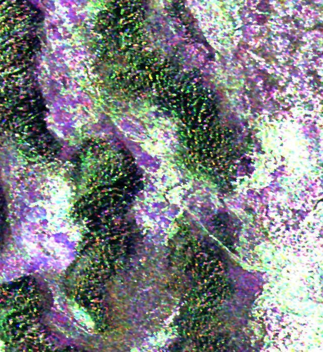This radar image from NASA's Spaceborne Imaging Radar C/X-Band Synthetic Aperture is of an area thought to contain the ruins of the ancient settlement of Niya. It is located in the southwestern corner of the Taklamakan Desert in China's Sinjiang Province.