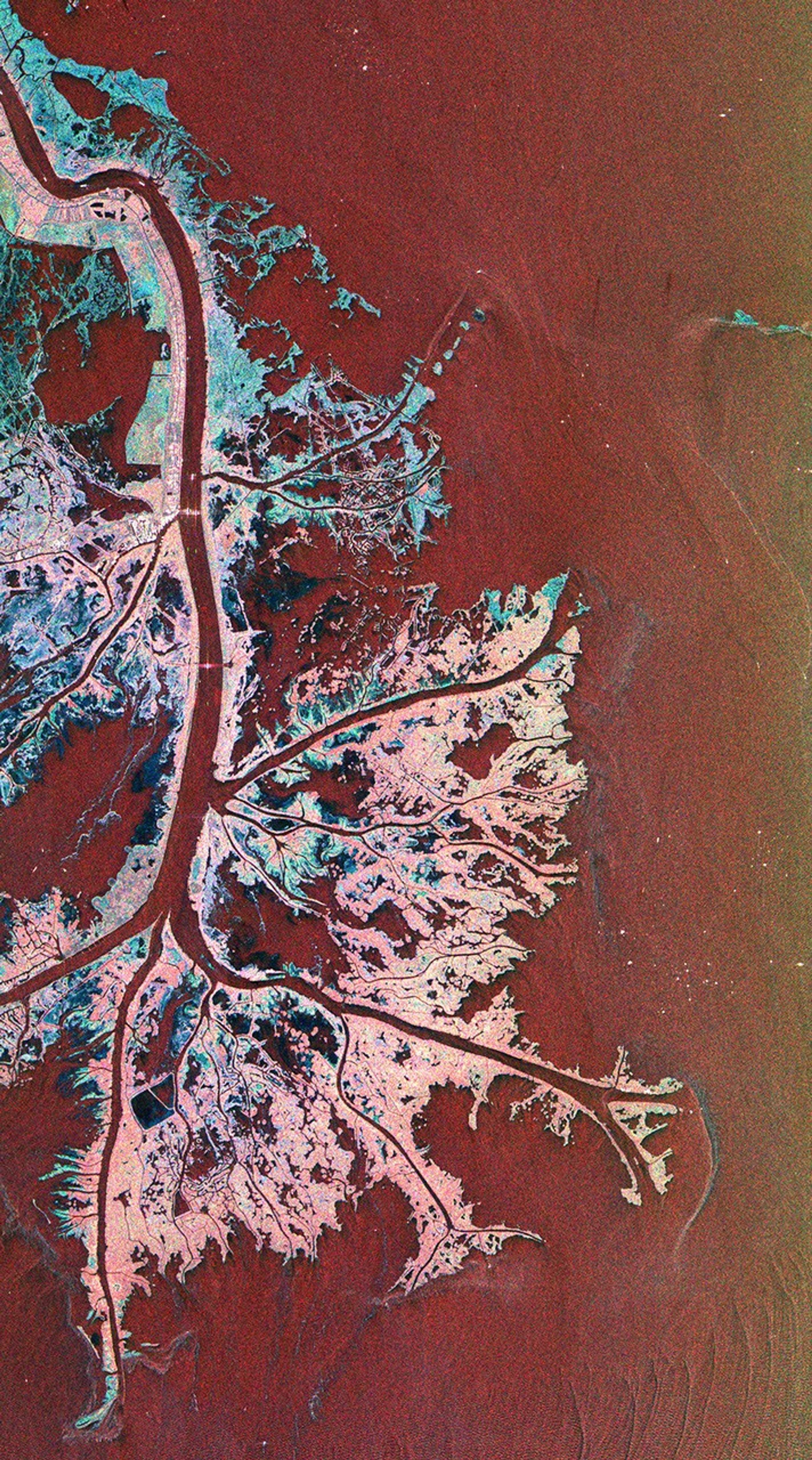 This is a radar image NASA's Spaceborne Imaging Radar-C/X-band Synthetic Aperture Radar of the Mississippi River Delta where the river enters into the Gulf of Mexico along the coast of Louisiana.