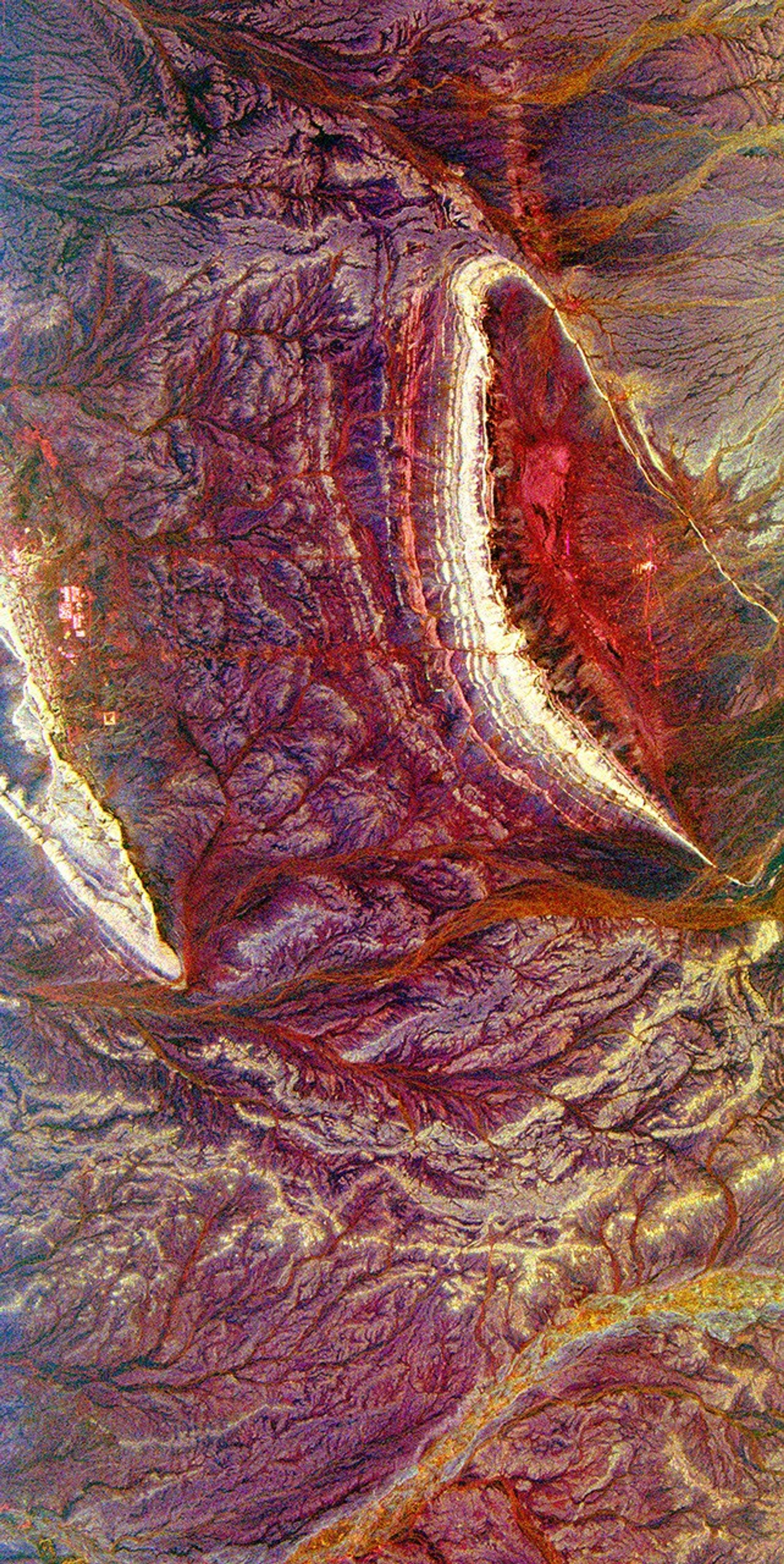 Bright, arc-shaped limestone hills and complex, branching drainage patterns dominate this three-frequency space radar image from NASA's Spaceborne Imaging Radar-C/X-band Synthetic Aperture of a desert area in the north central plain of Oman.