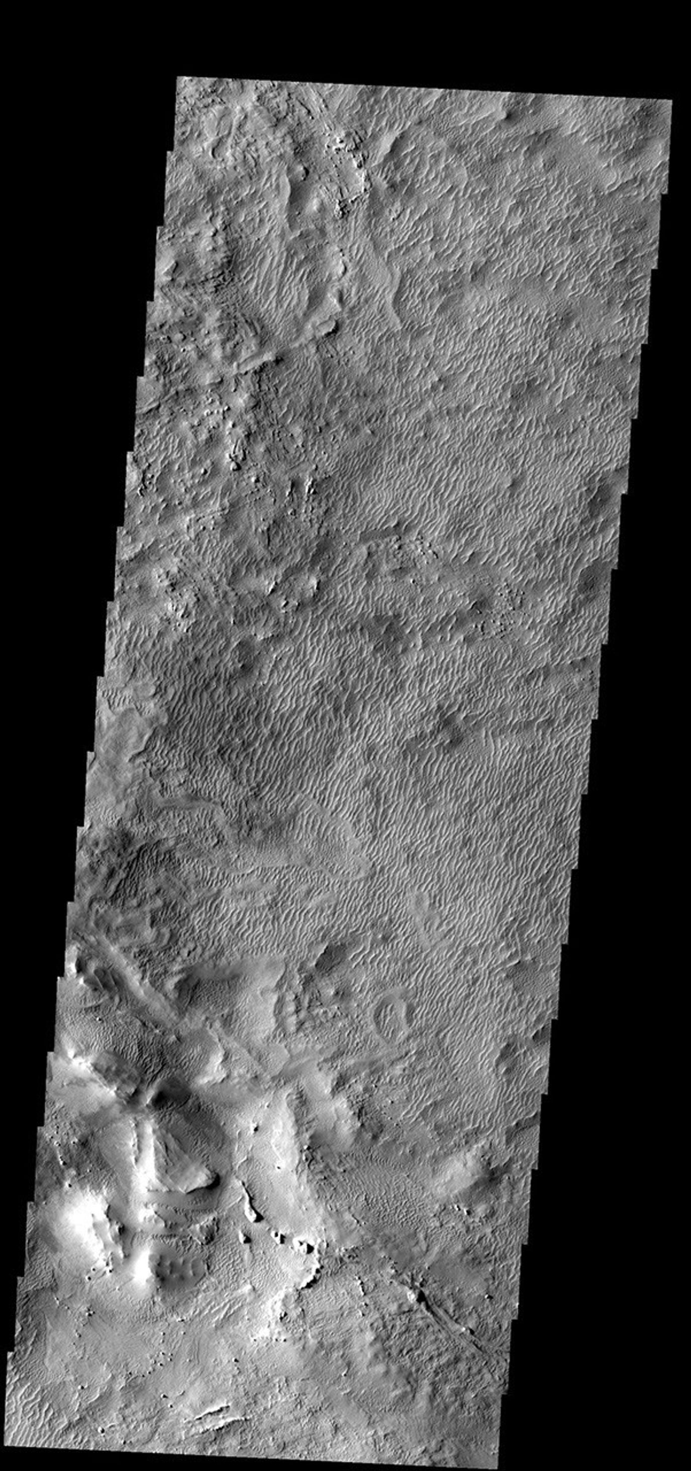 These old dunes and the surrouning wind eroded material are part of the Medusa Fossae Formation on Mars as seen by NASA's Mars Odyssey spacecraft.