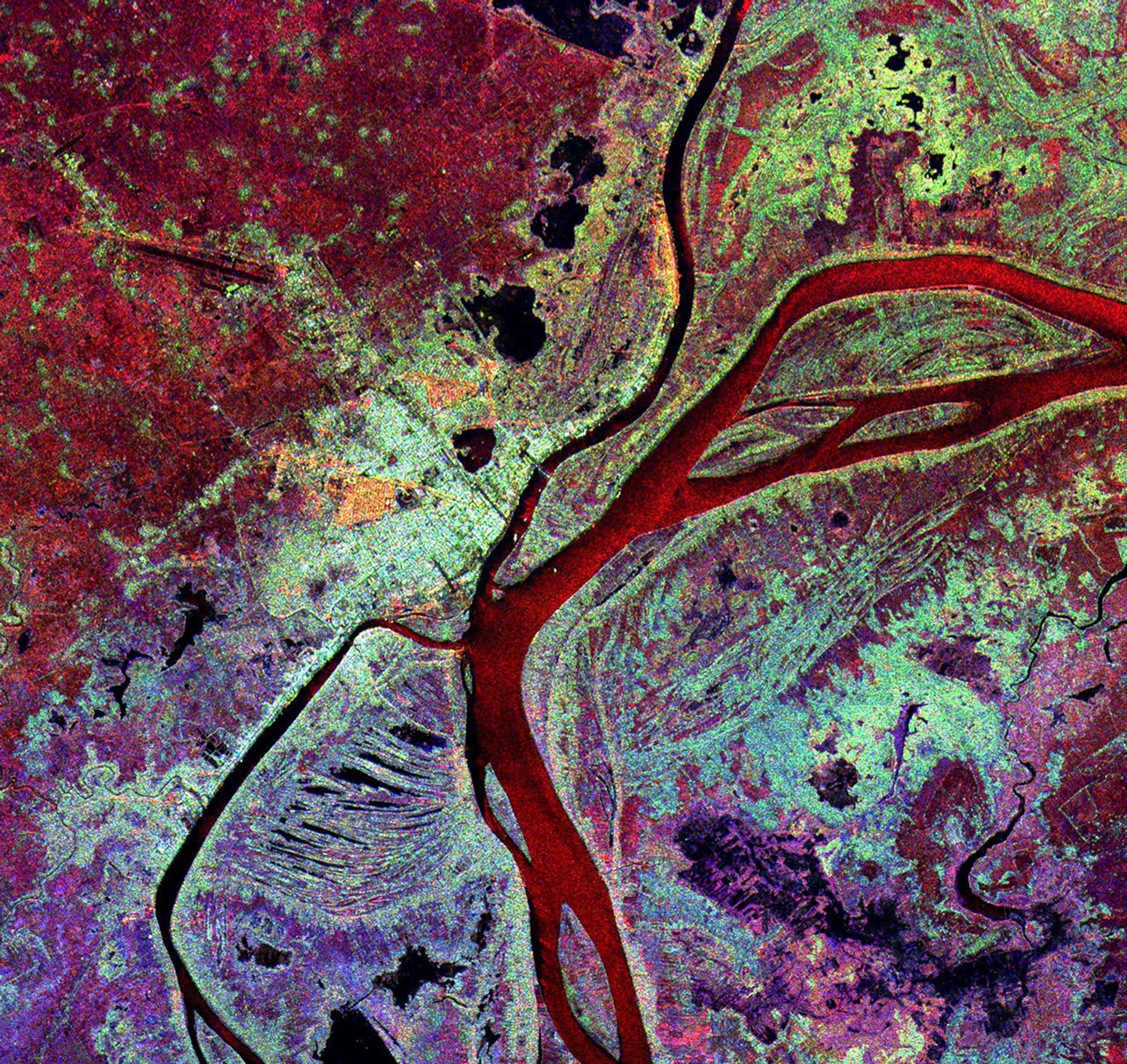 This spaceborne radar image from NASA's Spaceborne Imaging Radar C/X-Band Synthetic Aperture Radar shows the city of Phnom Penh, the capital of Cambodia. Phnom Penh lies at the confluence of the Mekong River and the Basak Sab.