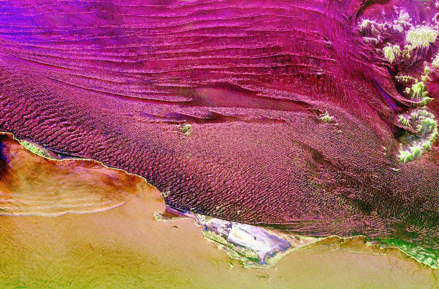 This spaceborne radar image from NASA's Spaceborne Imaging Radar C/X-Band Synthetic Aperture Radar shows part of the vast Namib Sand Sea on the west coast of southern Africa, just northeast of the city of Luderitz, Namibia.