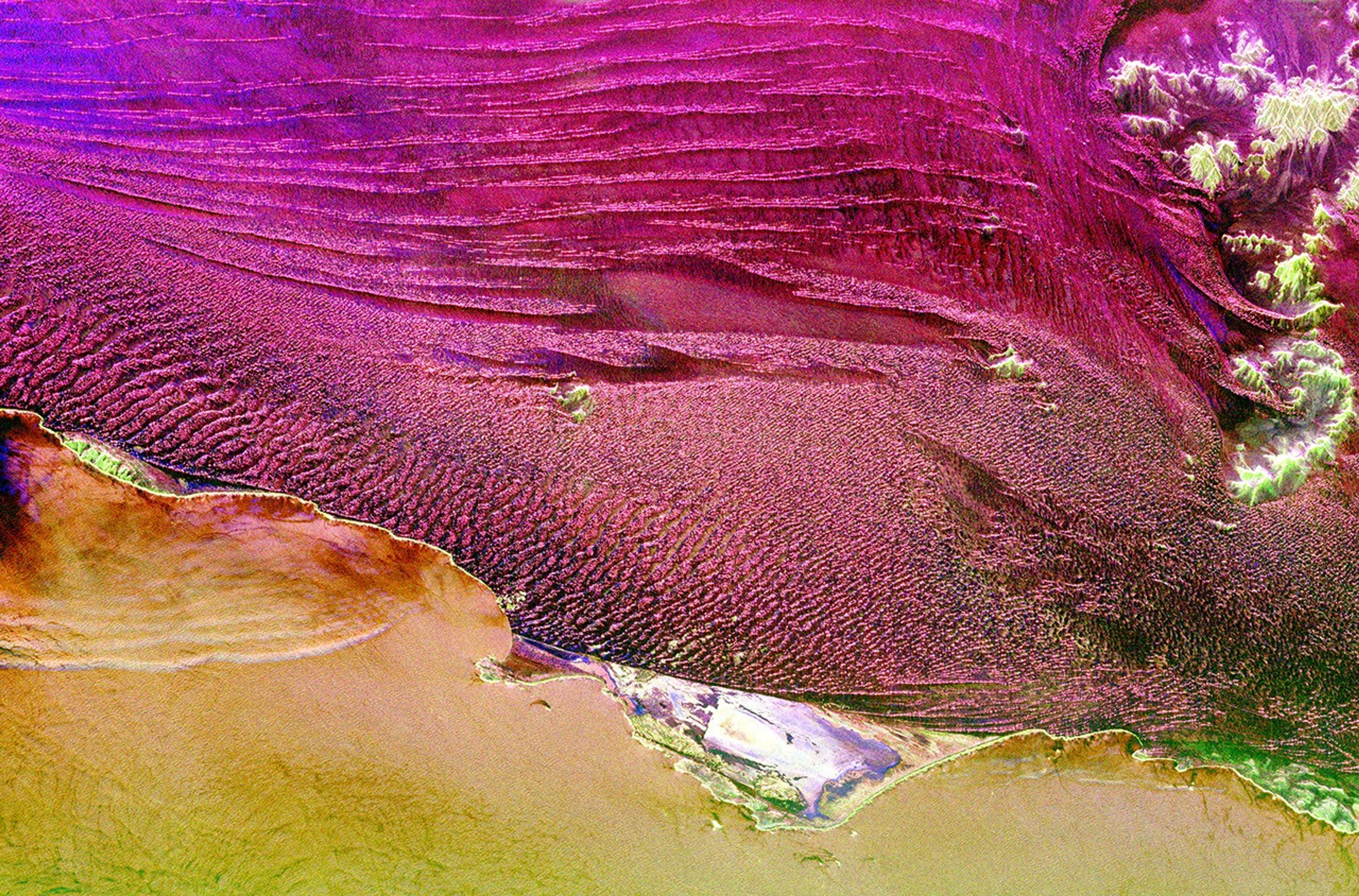 This spaceborne radar image from NASA's Spaceborne Imaging Radar C/X-Band Synthetic Aperture Radar shows part of the vast Namib Sand Sea on the west coast of southern Africa, just northeast of the city of Luderitz, Namibia.