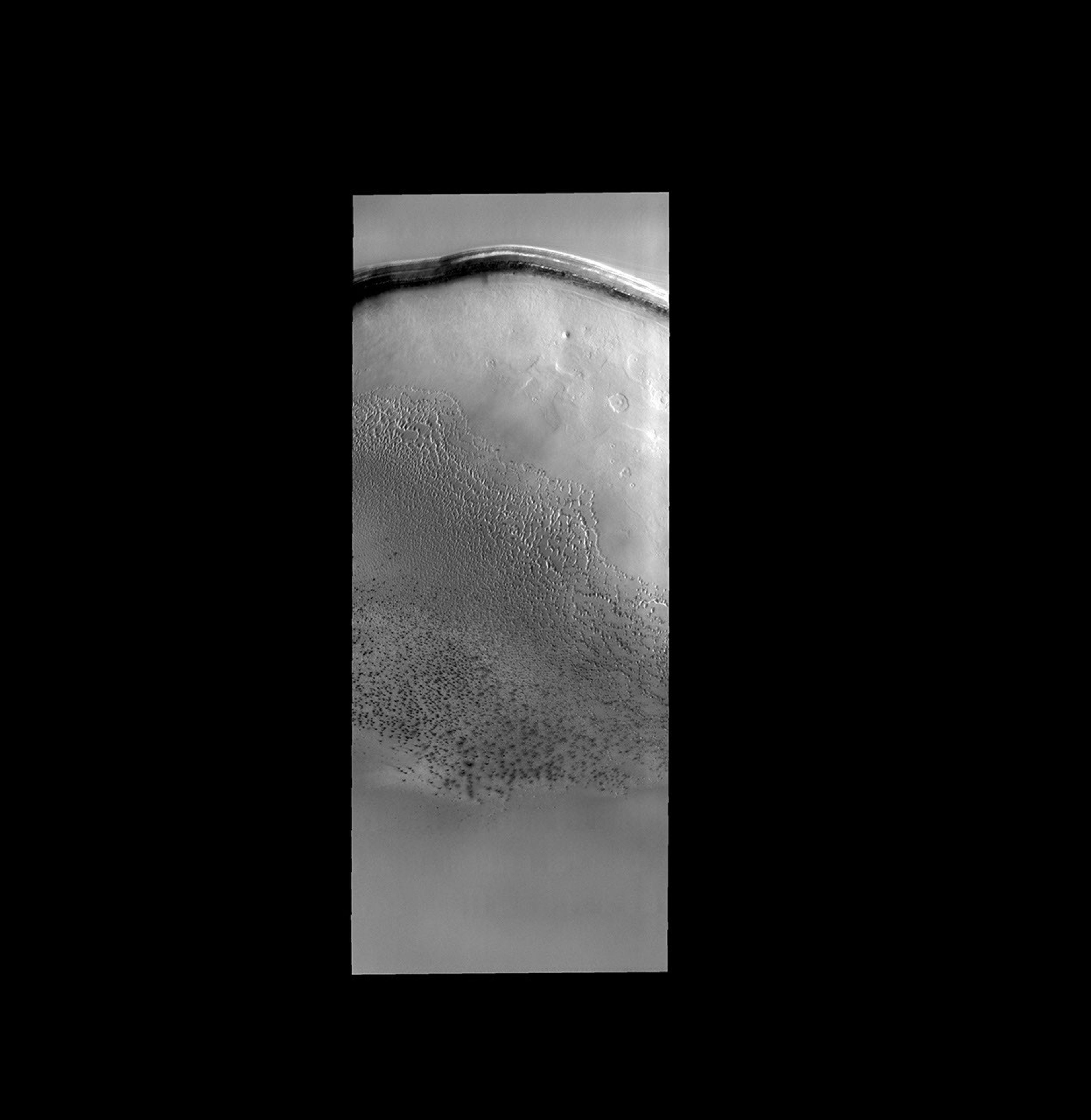 This field of sand dunes occurs within Chasma Borealis on Mars as seen by NASA's Mars Odyssey spacecraft.