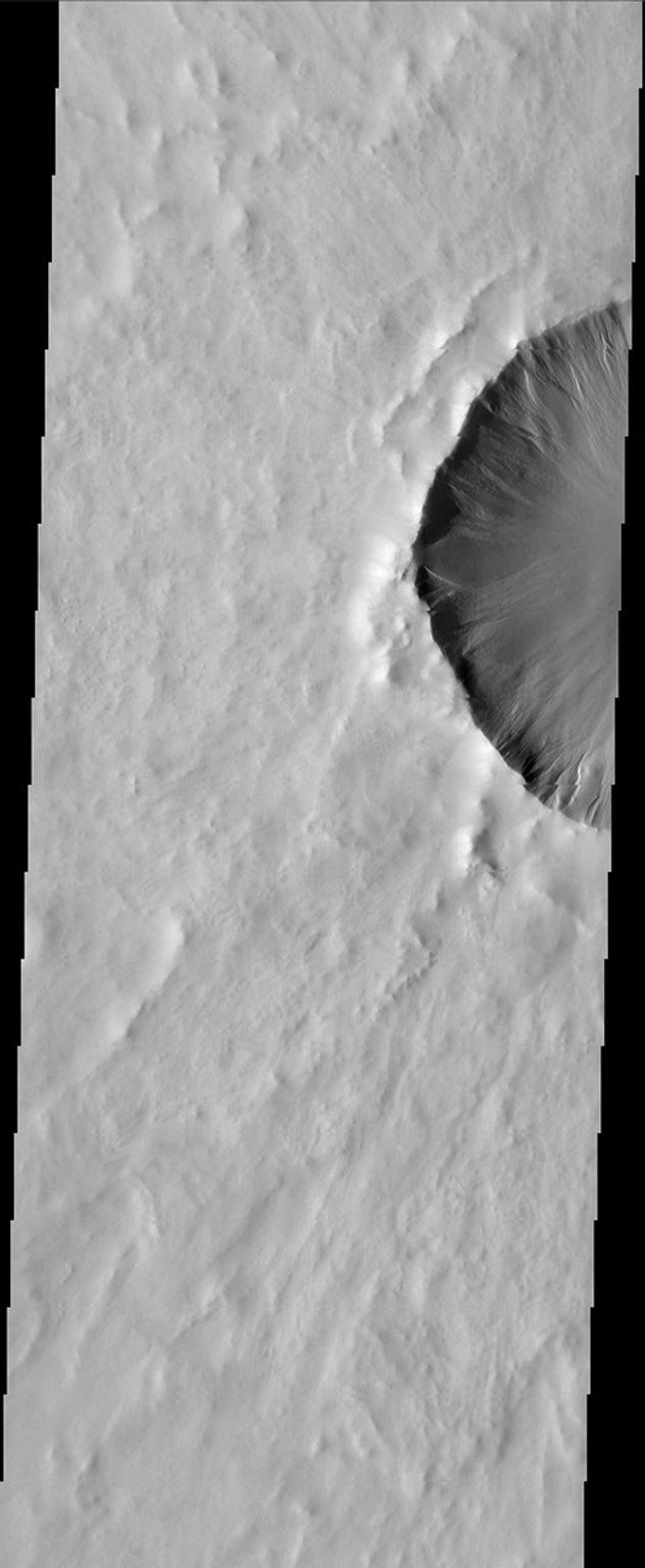 Gullies occur on the rim of this northern plains crater on Mars as seen by NASA's Mars Odyssey spacecraft.