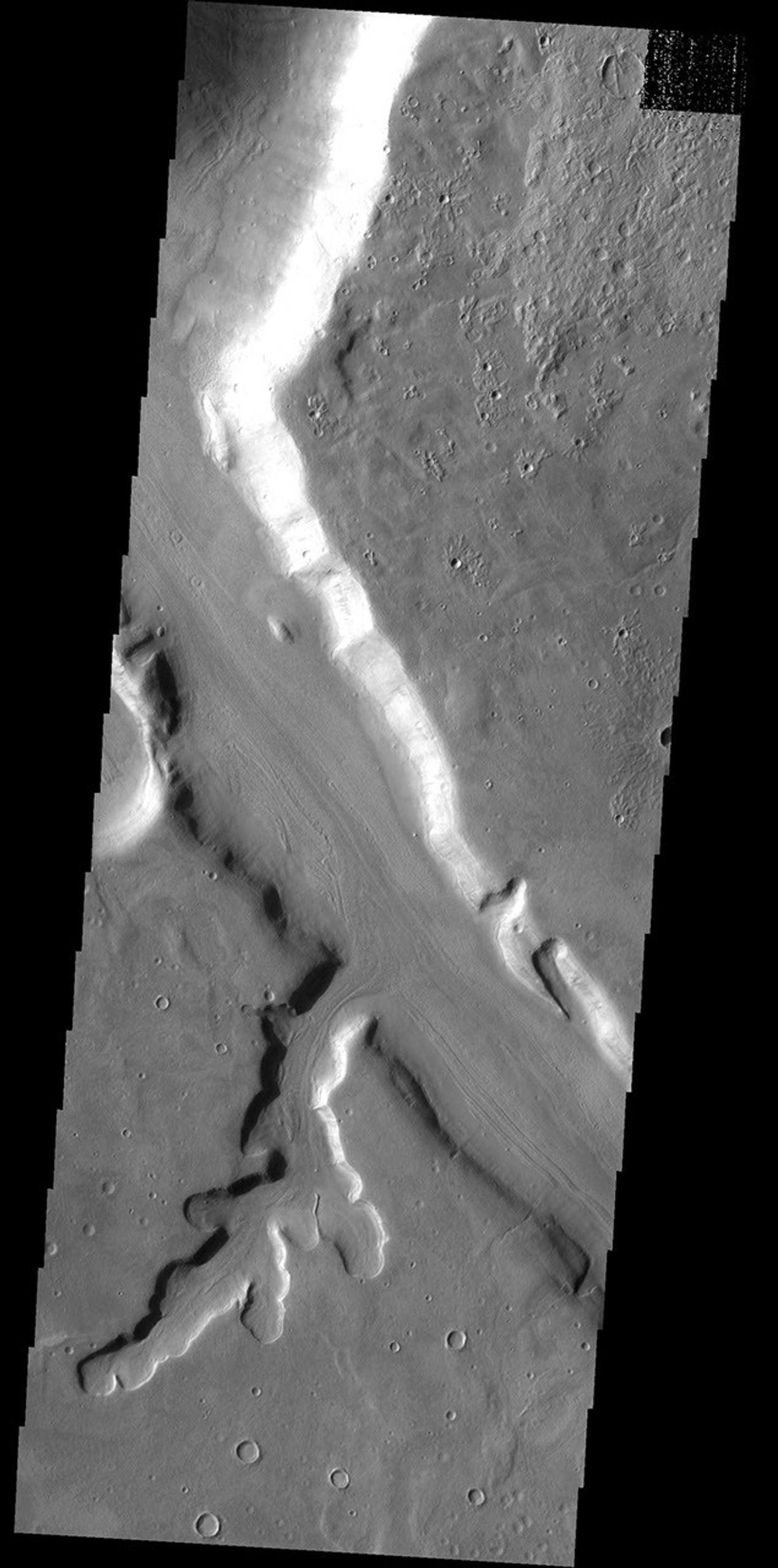 
			Mamers Vallis - NASA Science			