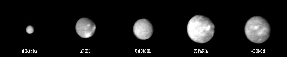 This 'family portrait' of Uranus' five largest moons was compiled from images sent back Jan. 20, 1986, by NASA's Voyager 2 spacecraft. Even in these distant views, the satellites exhibit distinct differences in appearance.
