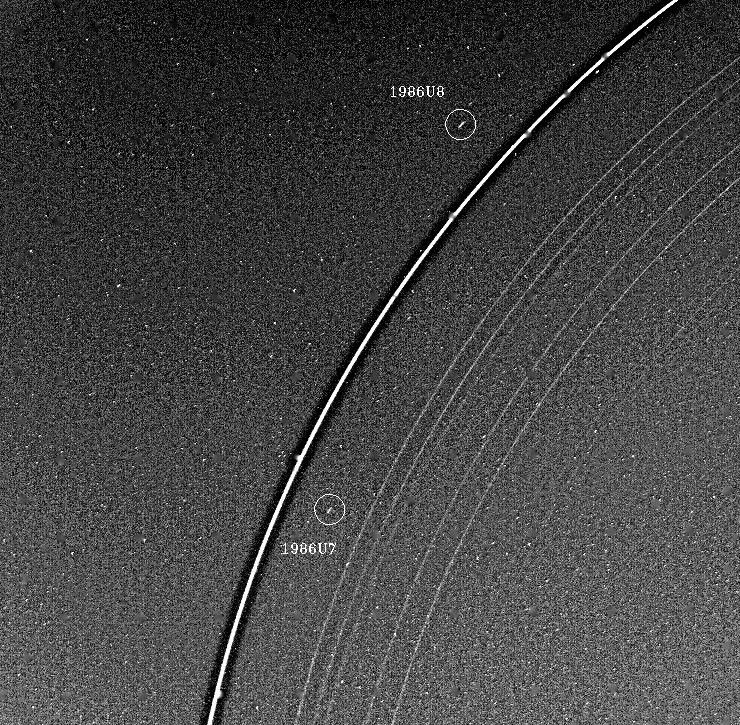 Voyager 2 has discovered two 'shepherd' satellites associated with the rings of Uranus. The two moons, designated 1986U7 and 1986U8, are seen here on either side of the bright epsilon ring; all nine of the known Uranian rings are visible.