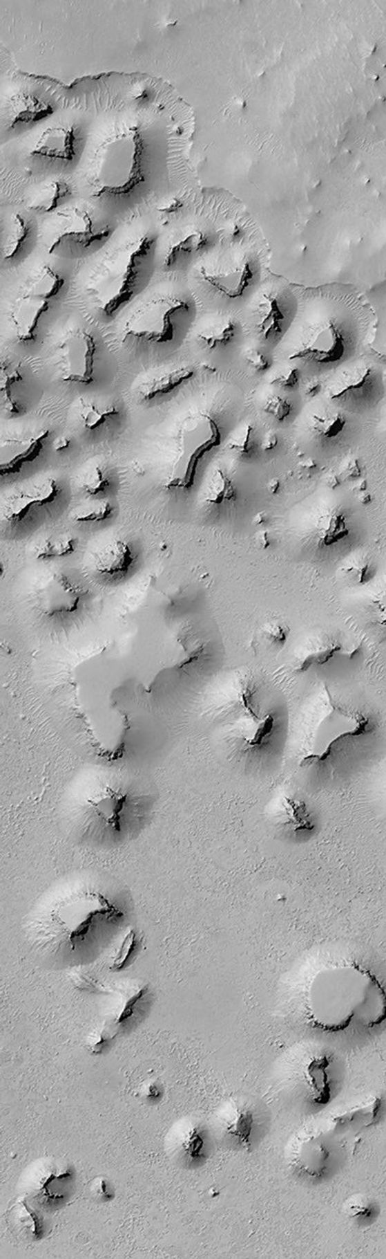 NASA's Mars Global Surveyor shows mesas and smaller buttes that occur on the Elysium Plains, south of the Cerberus region in the Martian eastern hemisphere.