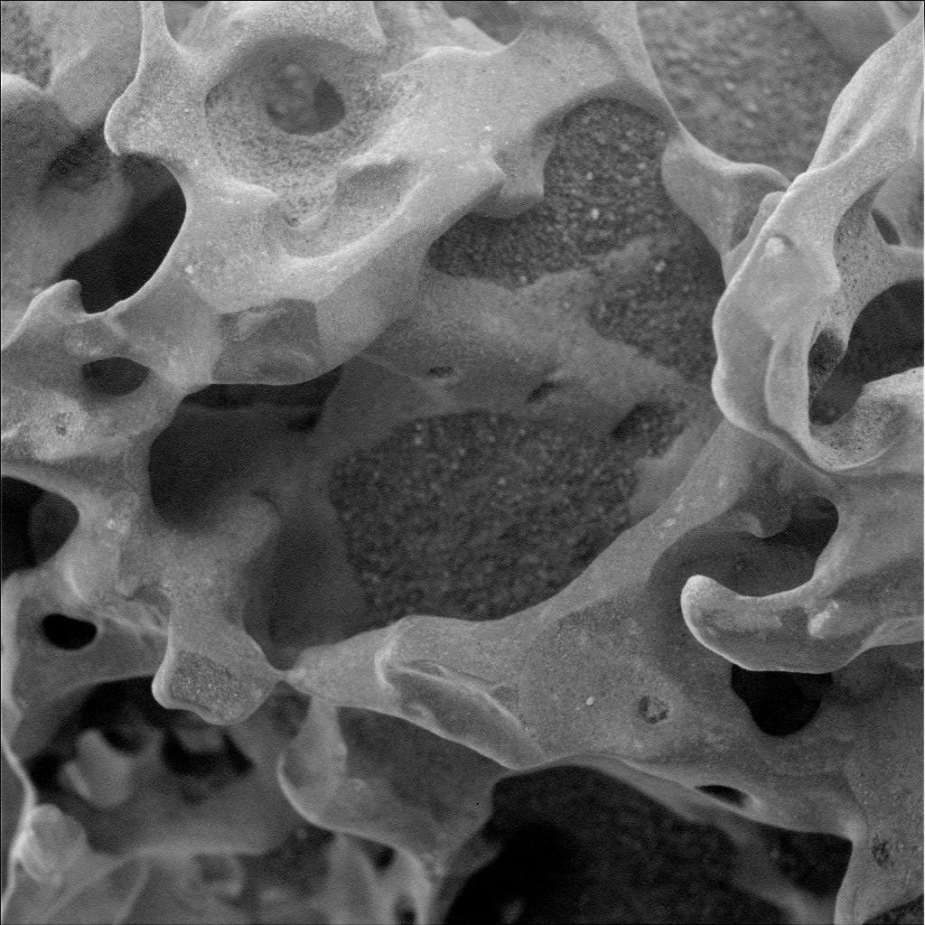NASA's Mars Exploration Rover Spirit used its microscopic imager to capture this spectacular, jagged mini-landscape on a rock called 'GongGong.'
