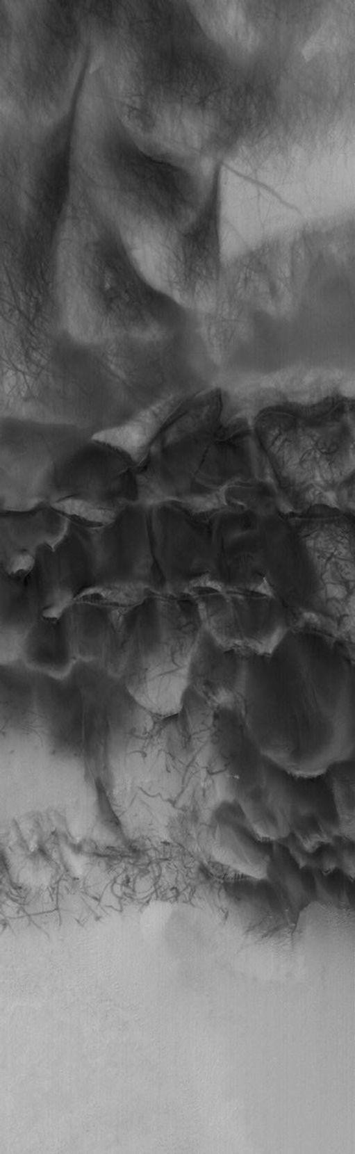 This image from NASA's Mars Global Surveyor spacecraft shows streaks created by late spring and early summer dust devils on a field of dark sand dunes on the floor of Hooke Crater.
