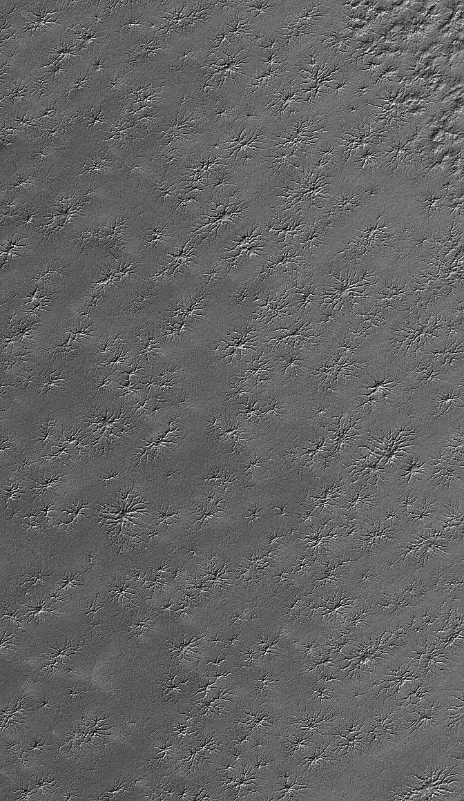 NASA's Mars Global Surveyor shows an area adjacent to Mar's south polar residual cap that hosts several intricate fracture networks.