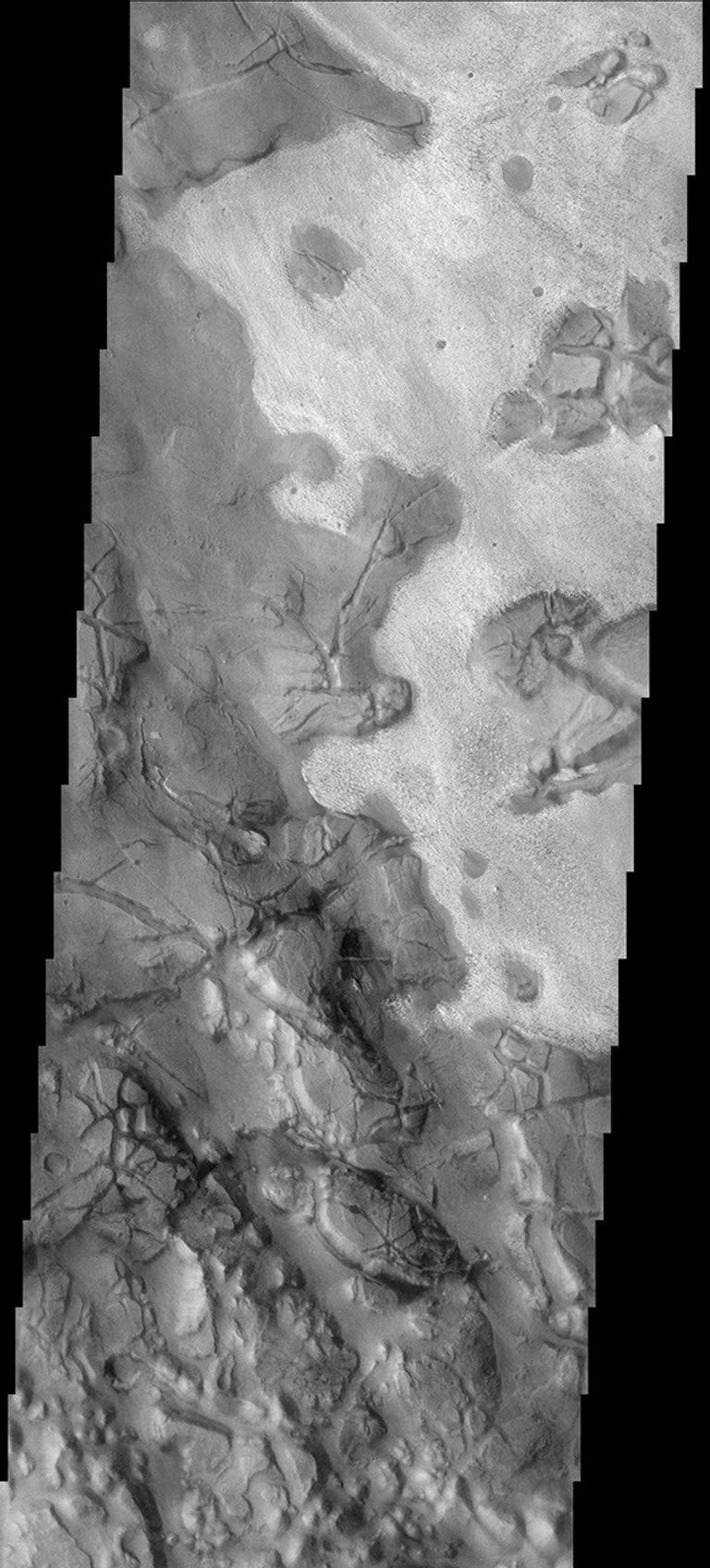 Surface Variety - NASA Science