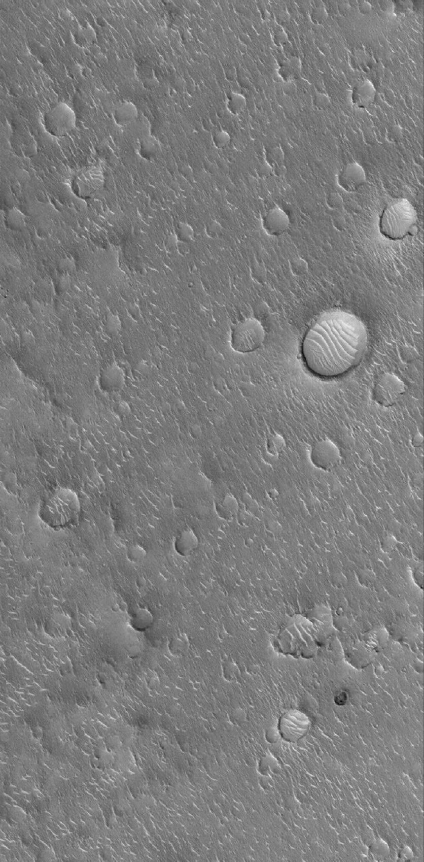 This image from NASA's Mars Global Surveyor shows a surface in Isidis Planitia, littered with degraded impact craters. Windblown ripples of various sizes and shapes are prevalent with wave-like patterns on the floors of some of the larger impact craters.