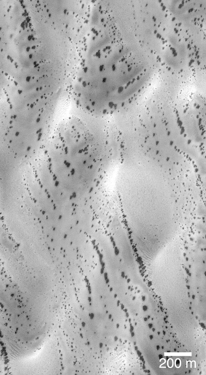 This image captured by NASA's Mars Global Surveyor (MGS) shows the area dubbed as 'the snow leopard,' a dune field located at 61.5°S, 18.9°W, as it appeared on July 1, 1999.